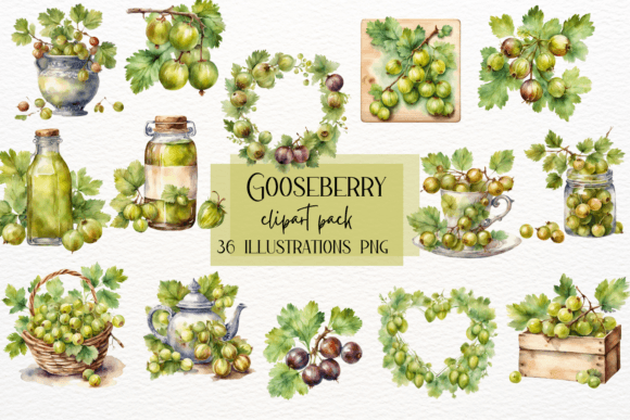 Bring Your Designs to Life with Gooseberry Fruit Illustrations