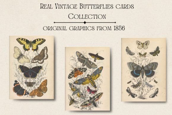 Rediscovering Timeless Art: The Vintage Butterflies Collection