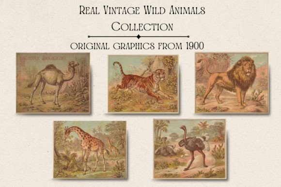 Vintage Animals Cards: Timeless Art for Modern Projects