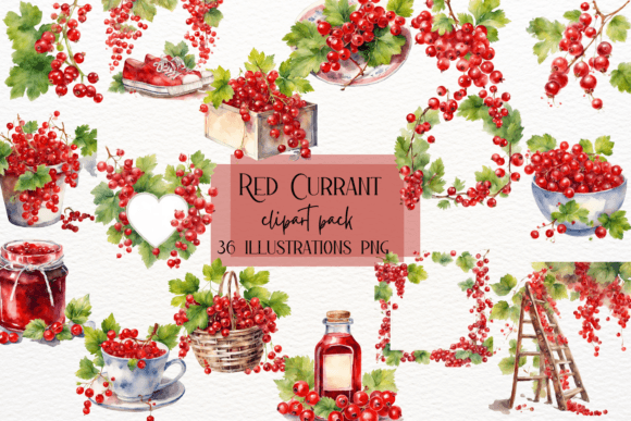 Watercolor Red Currant: Fresh Fruits Clipart for Designers